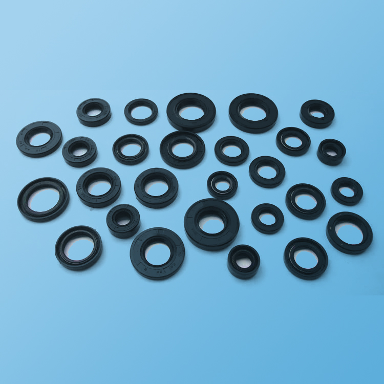 氟橡胶骨架油封