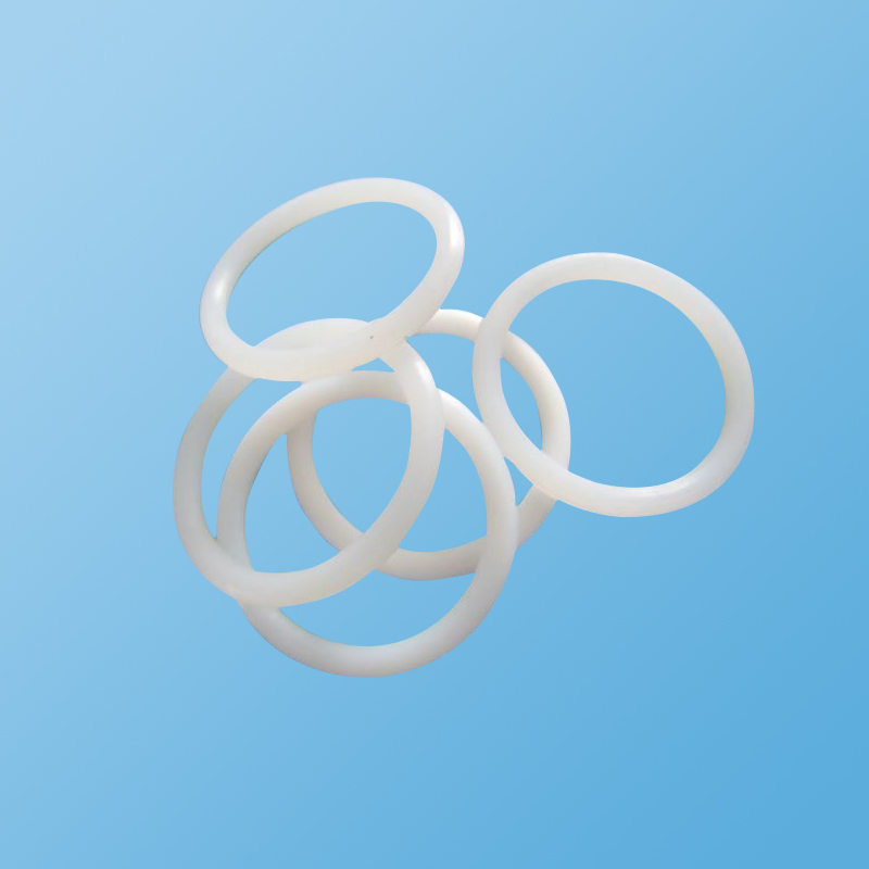 聚四氟乙烯O型圈