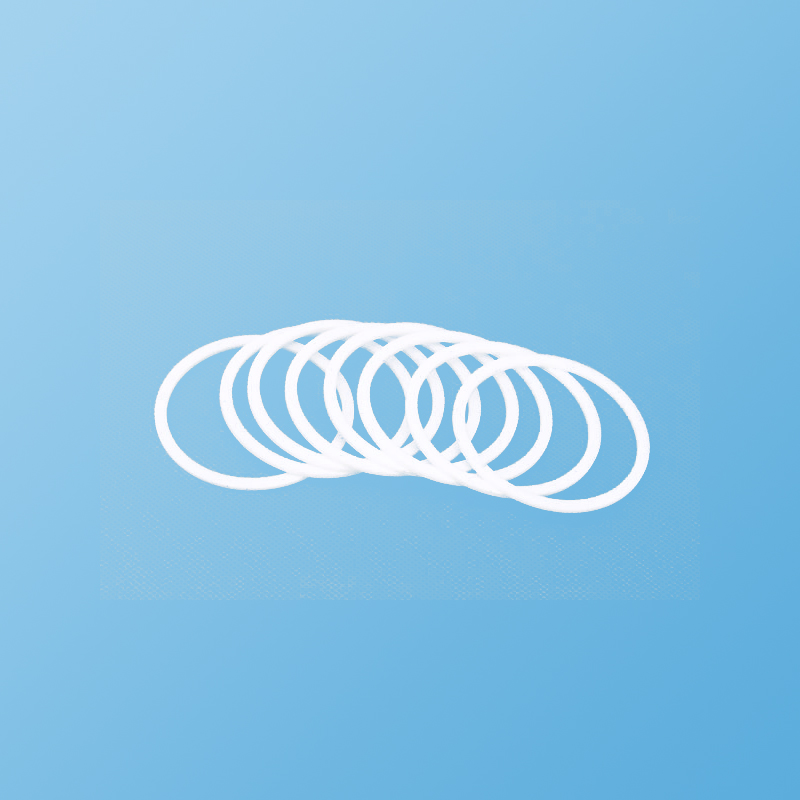 聚四氟乙烯填料环