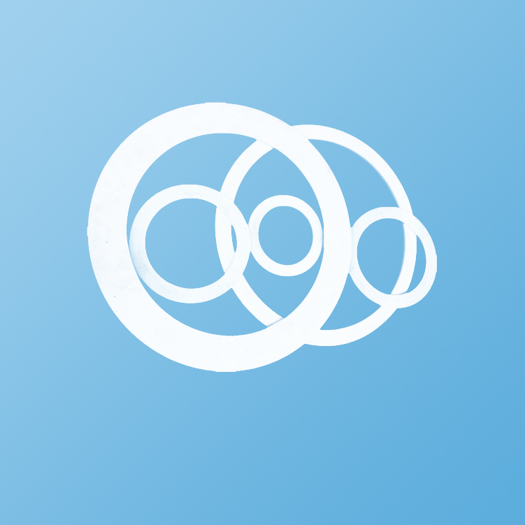 聚四氟乙烯垫片