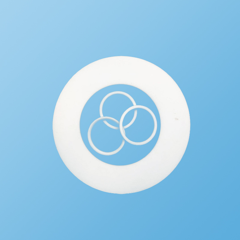 聚四氟乙烯垫圈